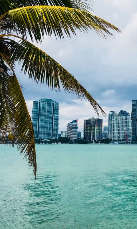 miami viewed from the sea